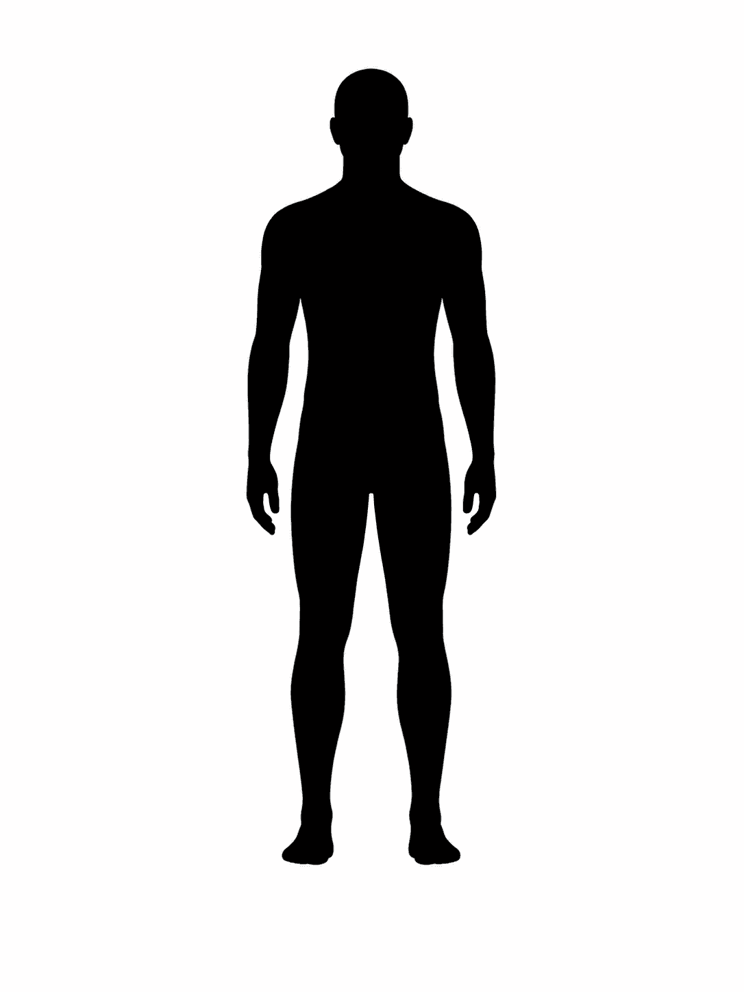 Guia de simetria para foto frontal